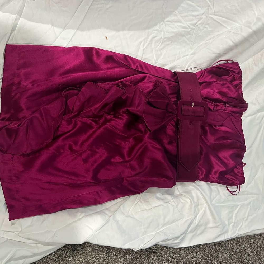 Express Magenta Satin Dress